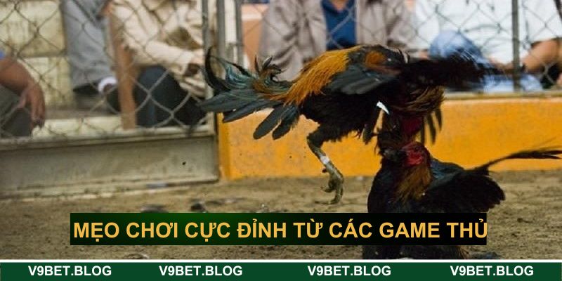 Mẹo chơi cực đỉnh từ các game thủ chuyên nghiệp Mẹo chơi cực đỉnh từ các game thủ chuyên nghiệp