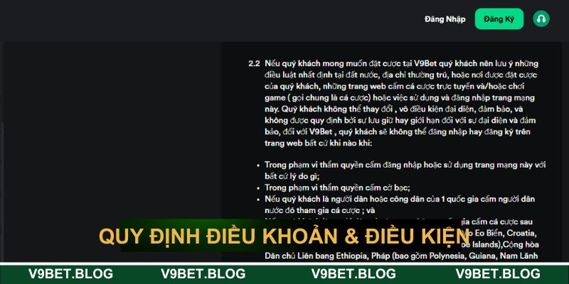 Tổng hợp các quy định về điều khoản & điều kiện Tổng hợp các quy định về điều khoản & điều kiện