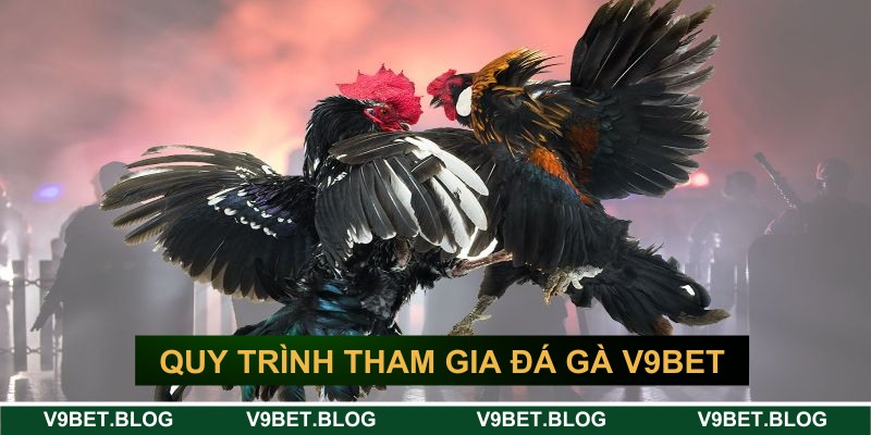 Quy trình để tham gia vào sảnh tại V9bet
