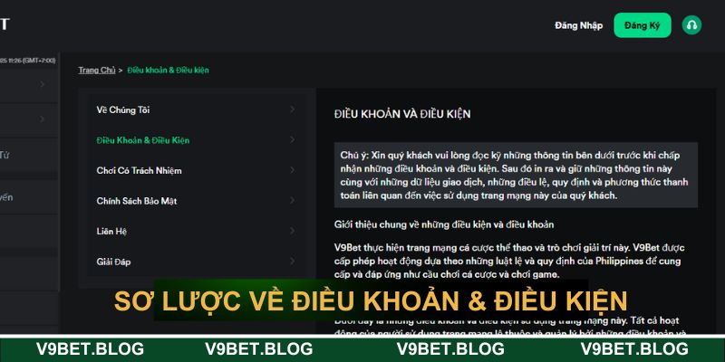 Khái quát chung về điều khoản & điều kiện tại V9bet Khái quát chung về điều khoản & điều kiện tại V9bet