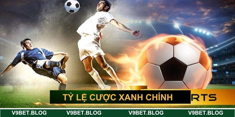 Tỷ lệ cược thể thao xanh chín